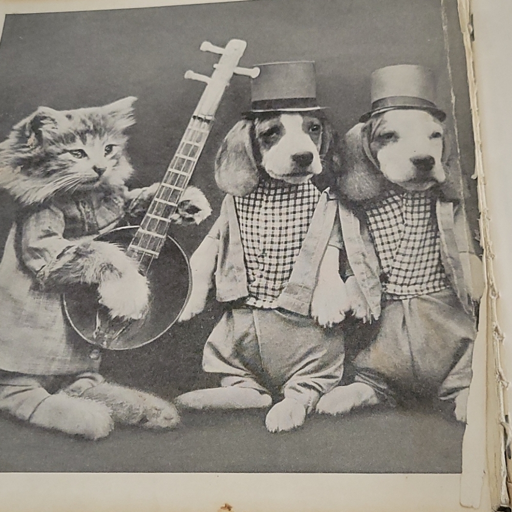 YIP AND YAP Children's Book - 1936 1ST Edition - Picture 4 of 10